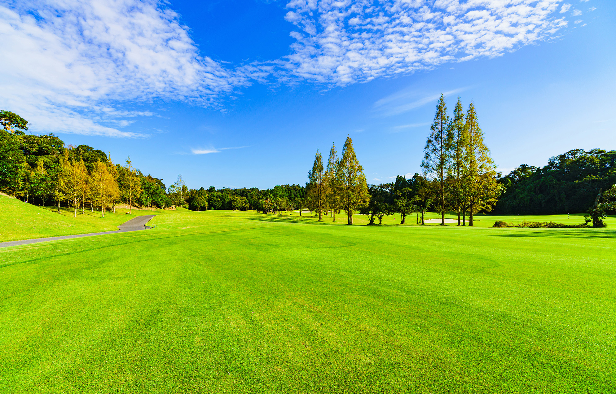 ENJOYGOLF